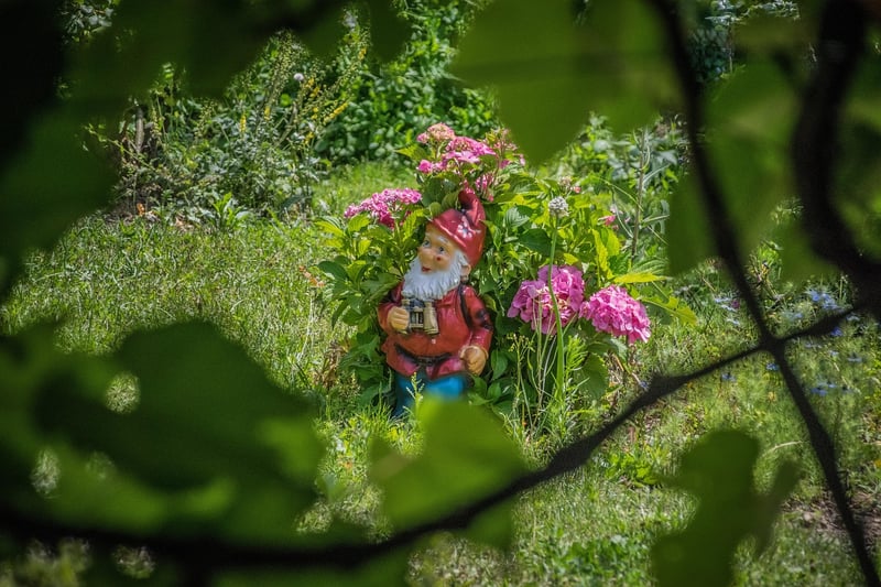 Pixie Paradise